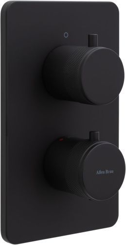 Смеситель для ванны с душем Allen Brau Priority 5.31113-31 встраиваемый в стену черный с термостатом