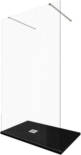 Душевая перегородка Allen Brau Infinity 3.21043.BA 120х200 стекло прозрачное профиль серебро