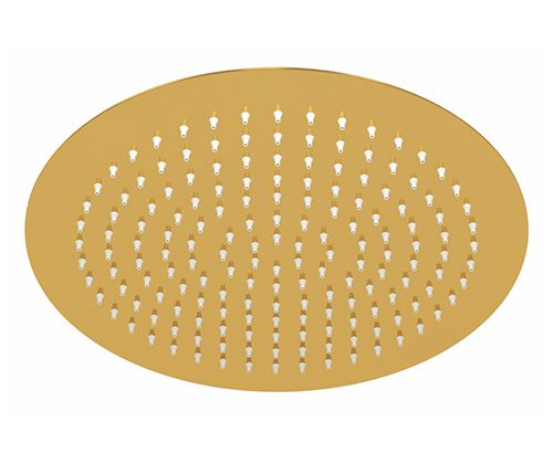 Верхний душ Wasserkraft Sauer 7100 A263 золото