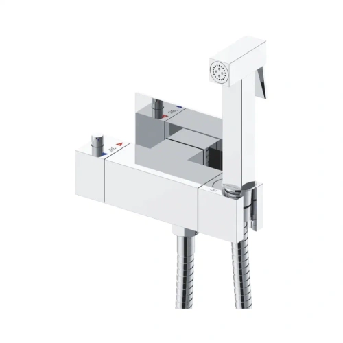 Гигиенический душ со смесителем Rose R965 хром