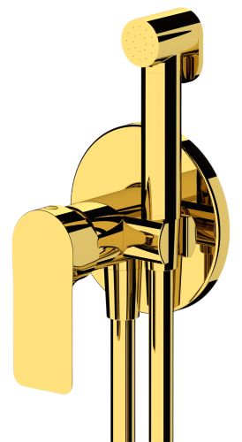 Гигиенический душ со смесителем Remer I65WDO золото