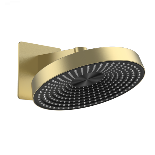 Верхний душ Wonzon & Woghand WW-HS099-BG 30х35 золото