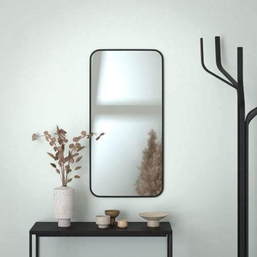 Зеркало Evoform Colora BY 0435 50х100 подвесное