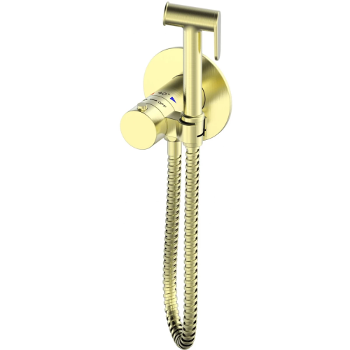 Гигиенический душ со смесителем Wonzon & Woghand WW-88829909-BG золото с термостатом