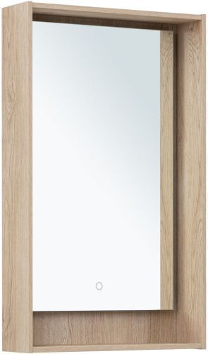 Зеркало с подсветкой Aquanet Милан 00336402 50х80 подвесное