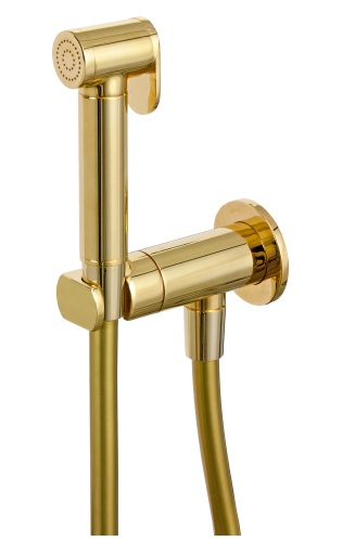 Гигиенический душ со смесителем Remer N64WDO золото