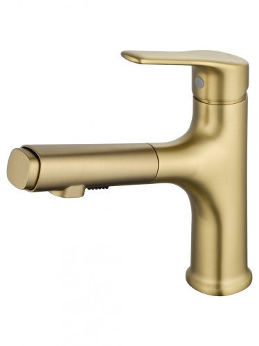 Смеситель Wonzon & Woghand WW-AE4151-BG на раковину золото