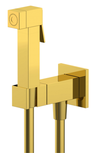 Гигиенический душ со смесителем Remer Q64DO золото