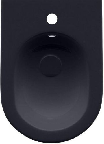 Биде напольное Allen Brau Reality 4.32005.AN цвет черный