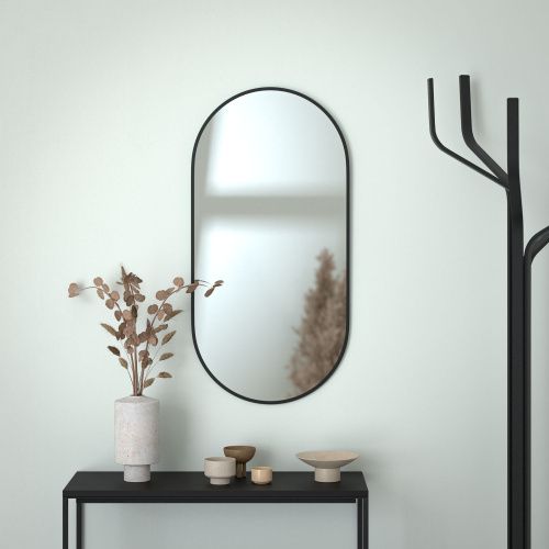 Зеркало Evoform Colora BY 0464 50х100 подвесное