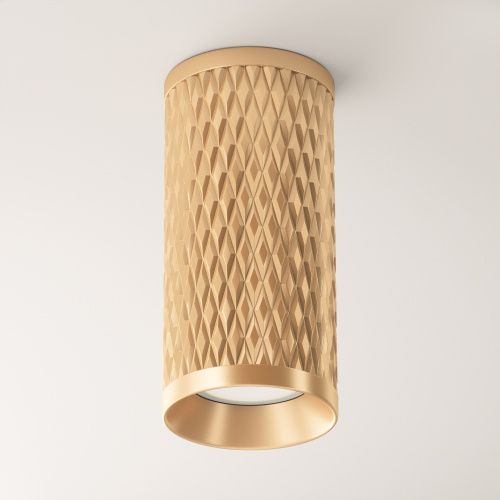 Светильник потолочный Maytoni Technical Focus Design C036CL-01G