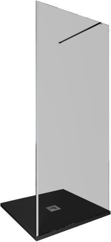 Душевая перегородка Allen Brau Infinity 3.21008.BA.T 90х200 стекло тонированное профиль серебро