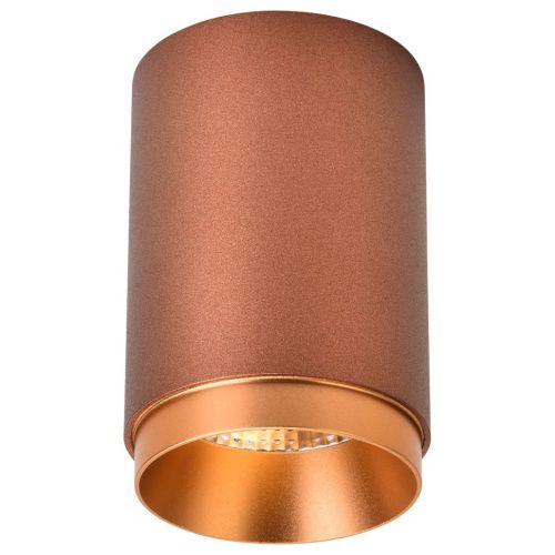 Светильник точечный Wertmark Technical Stecken WE801.01.607+WE803.RG.400