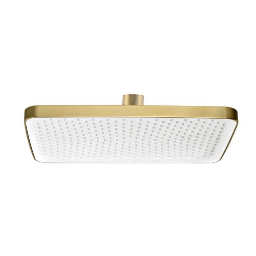 Верхний душ Raglo R451 R451.52.03 золото