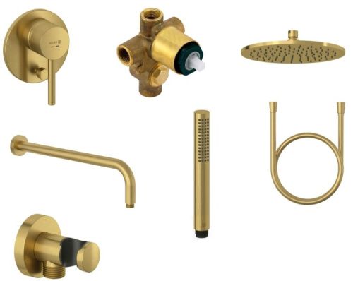 Душевой гарнитур Kludi BOZZ 38736N076 настенный золото