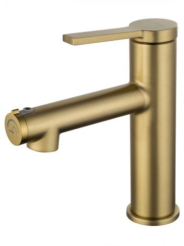 Смеситель Wonzon & Woghand WW-H1017-BG на раковину золото