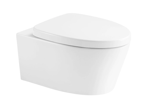 Чаша унитаза подвесная Arrow AHB21002H цвет белый без сиденья безободковая каскадный смыв