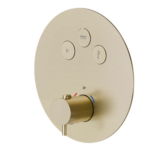 Смеситель для душа Newform X-STEEL 316 70427EX.59.098 встраиваемый в стену золото с термостатом