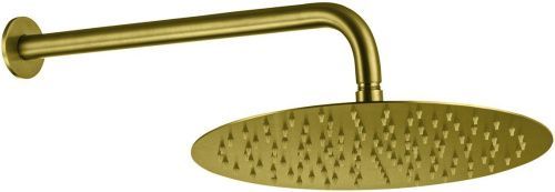 Верхний душ Allen Brau Priority 5.31A17-GB 30х30 золото