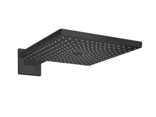 Верхний душ Hansgrohe Raindance E 26238670 черный