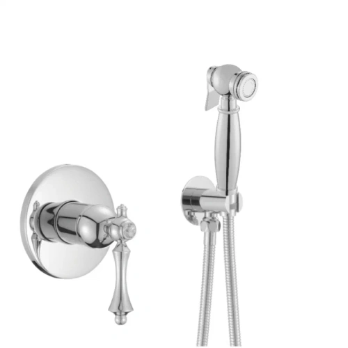 Гигиенический душ со смесителем Rose R0105 хром