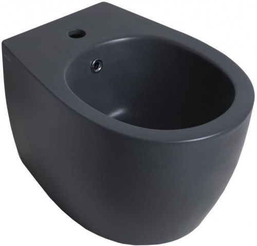 Биде подвесное Allen Brau Fantasy 4.11006.AN цвет черный