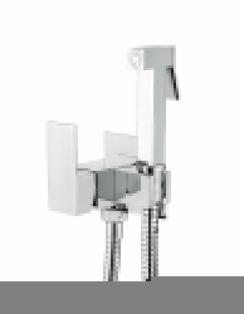 Гигиенический душ со смесителем AQG 34ARE0010120 хром