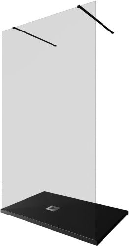 Душевая перегородка Allen Brau Infinity 3.21046.BBA.T 120х200 стекло тонированное профиль черный