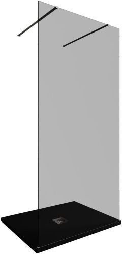 Душевая перегородка Allen Brau Infinity 3.21038.BA.T 100х200 стекло тонированное профиль серебро