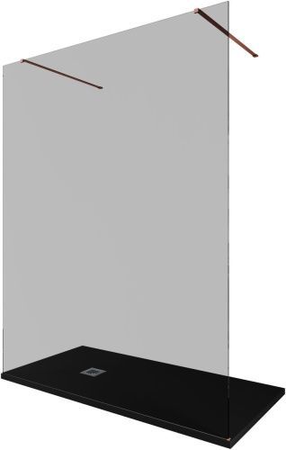 Душевая перегородка Allen Brau Infinity 3.21060.60.T 160х200 стекло тонированное профиль медь