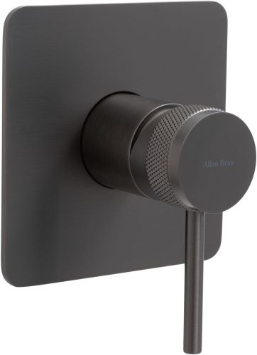 Смеситель для душа Allen Brau Priority 5.31012-MG встраиваемый в стену серый