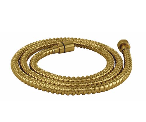 Душевой шланг Wasserkraft Aisch 5500 A237 золото