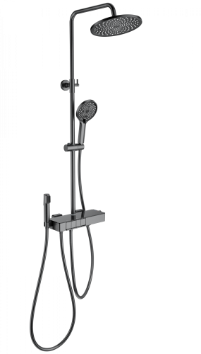 Душевая стойка Wonzon & Woghand Muse WW-B3580-BGG настенная цвет серый с термостатом