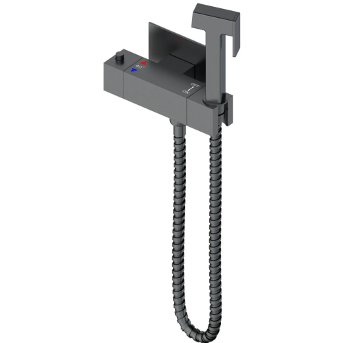 Гигиенический душ со смесителем Wonzon & Woghand WW-88819903-BGM серый с термостатом