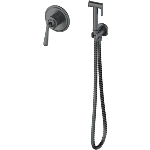 Гигиенический душ со смесителем Wonzon & Woghand Steam WW-88849008-BGM серый