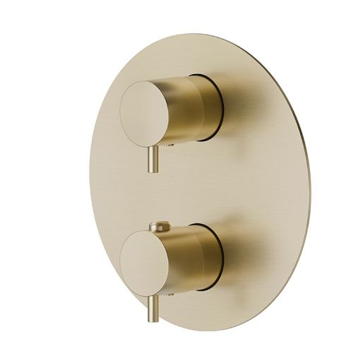 Смеситель для душа Newform X-STEEL 316 69663EX.59.098 встраиваемый в стену золото с термостатом