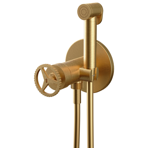 Гигиенический душ со смесителем Remer CH65WBG золото