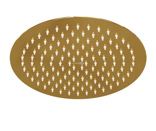 Верхний душ Wasserkraft Sauer 7100 A208 золото