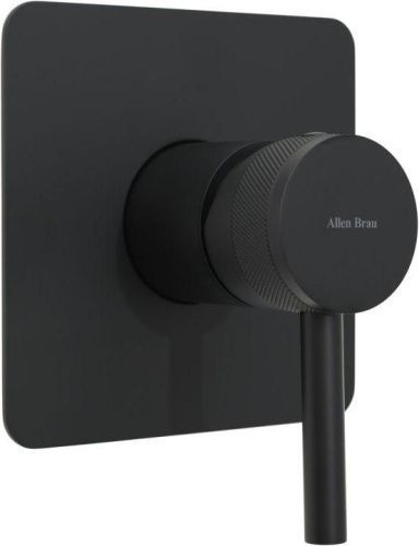 Смеситель для душа Allen Brau Priority 5.31012-31 встраиваемый в стену черный