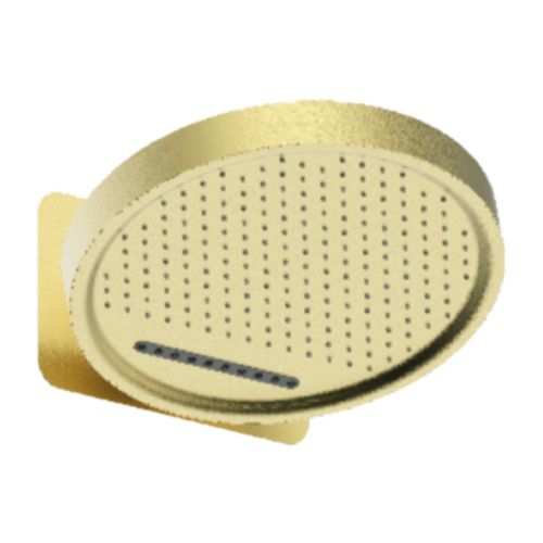 Верхний душ Raglo R452.02.03 золото