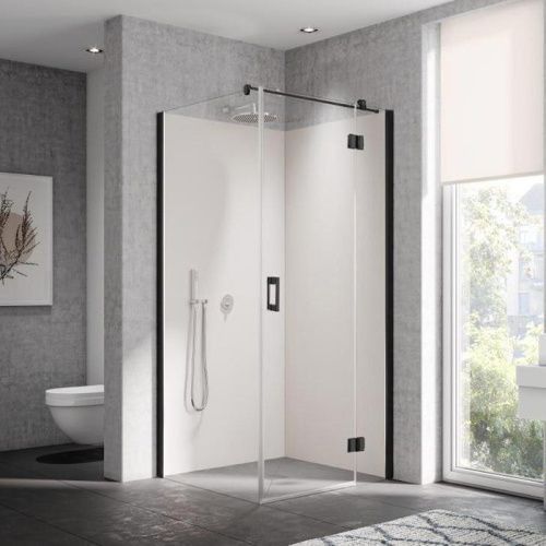 Душевая дверь Kermi Liga LI SNR 09020 3PK 100х200 стекло прозрачное профиль черный