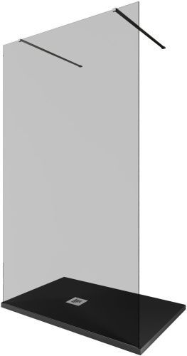 Душевая перегородка Allen Brau Infinity 3.21044.BA.T 120х200 стекло тонированное профиль серебро