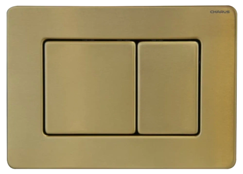 Клавиша смыва механическая CHARUS Robusto FP.310.BTG.05 цвет золото