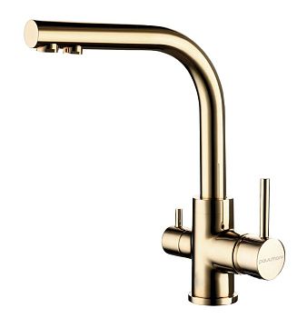 Смеситель для кухни Paulmark ESSEN Es213011-G на мойку золото