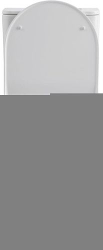 Чаша унитаза напольная Allen Brau Priority 4.31003.20 цвет белый без бачка с сиденьем микролифт безободковая каскадный смыв - фото 4