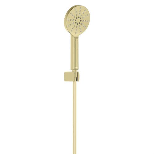Душевой гарнитур Aquatek Оберон AQ2033BG настенный золото
