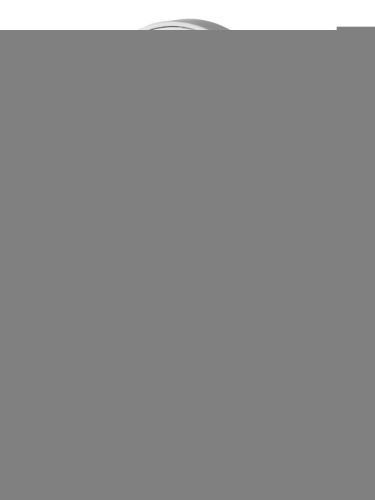 Душевая лейка Orange S02HSW цвет белый - фото 2