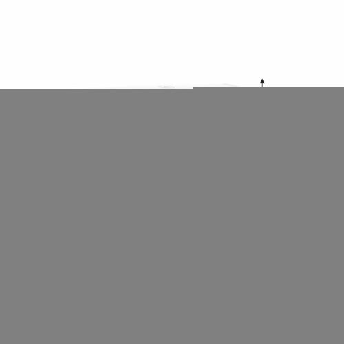 Держатель бумажных полотенец Fixsen Hotel FX-31027D - фото 2