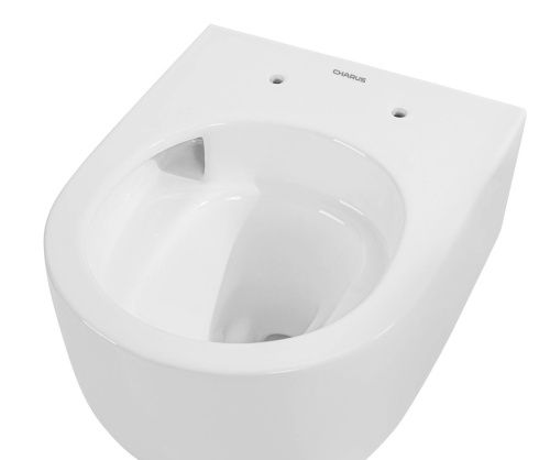 Унитаз подвесной CHARUS TORRE BIANCA EWC700-129W белый с сиденьем микролифт безободковый смыв торнадо - фото 3