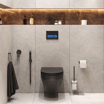 Комплект унитаз с инсталляцией с клавишей смыва с гигиеническим душем и аксессуарами для ванной комнаты Am.Pm Spirit V2.0 CK70GH